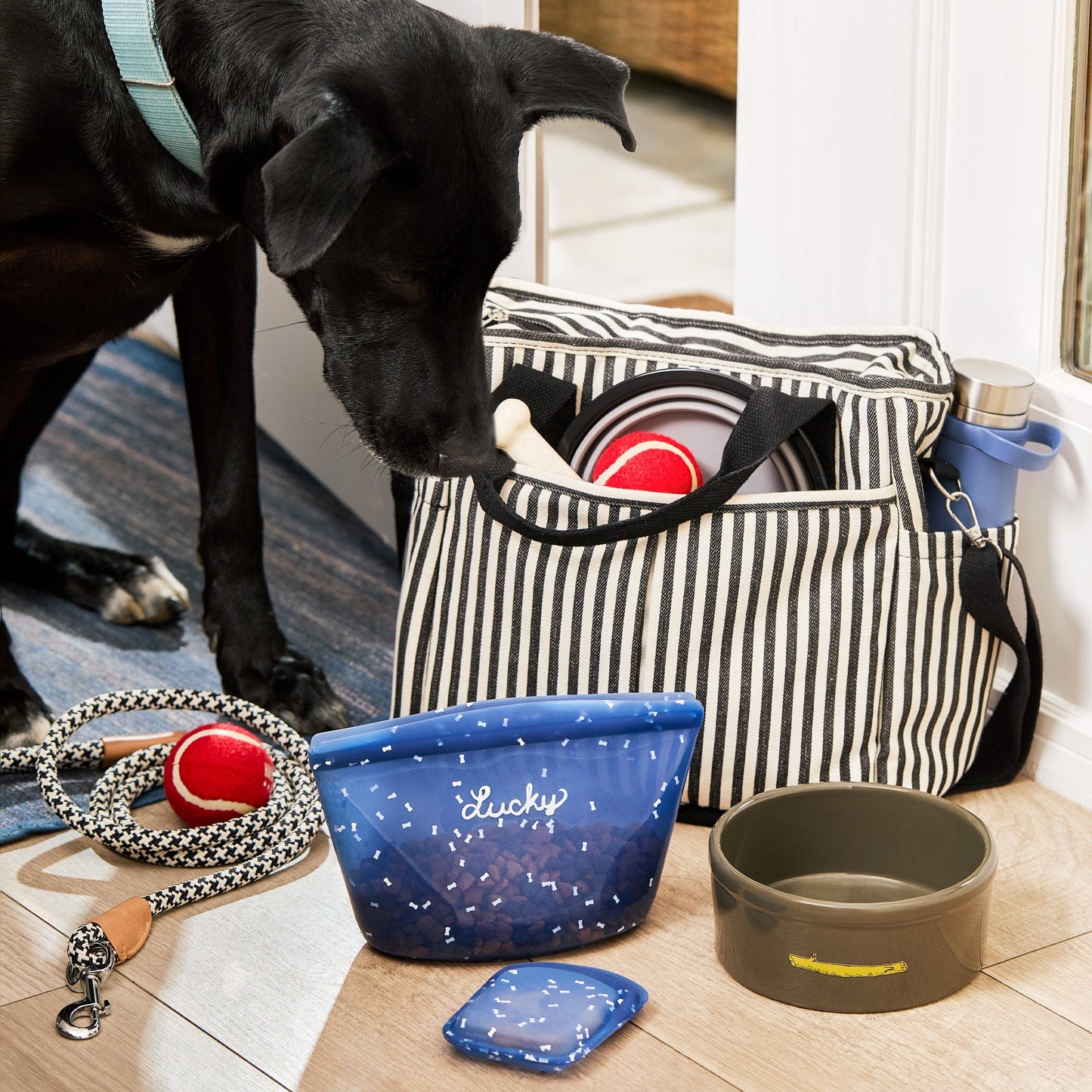Pet Food Container